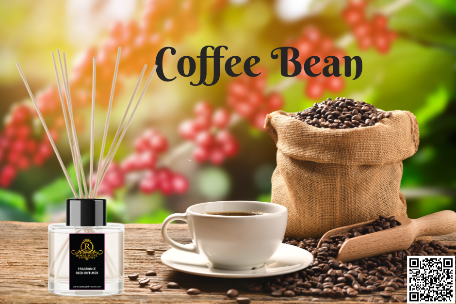 Coffee Beans Reed Diffuser - 50 ML